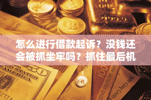 武汉怎么进行借款起诉？没钱还会被抓坐牢吗？抓住最后机会！