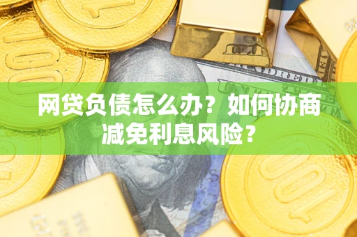 武汉网贷负债怎么办？如何协商减免利息风险？