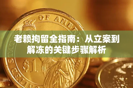 武汉老赖拘留全指南：从立案到解冻的关键步骤解析