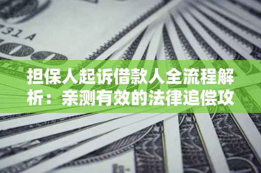 武汉担保人起诉借款人全流程解析：亲测有效的法律追偿攻略