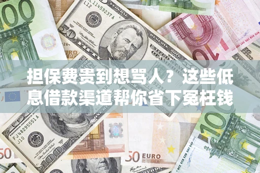 武汉担保费贵到想骂人？这些低息借款渠道帮你省下冤枉钱