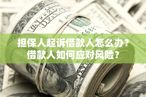 武汉担保人起诉借款人怎么办？借款人如何应对风险？