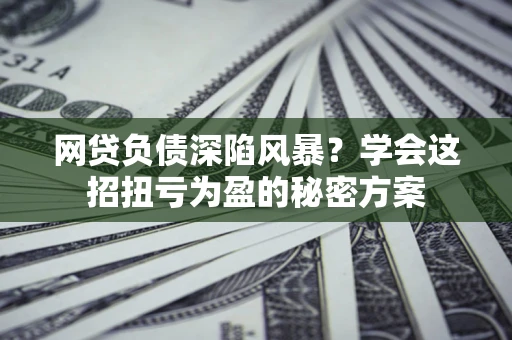 武汉网贷负债深陷风暴？学会这招扭亏为盈的秘密方案